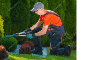 Empleos Sin datos  Busco Jardinero